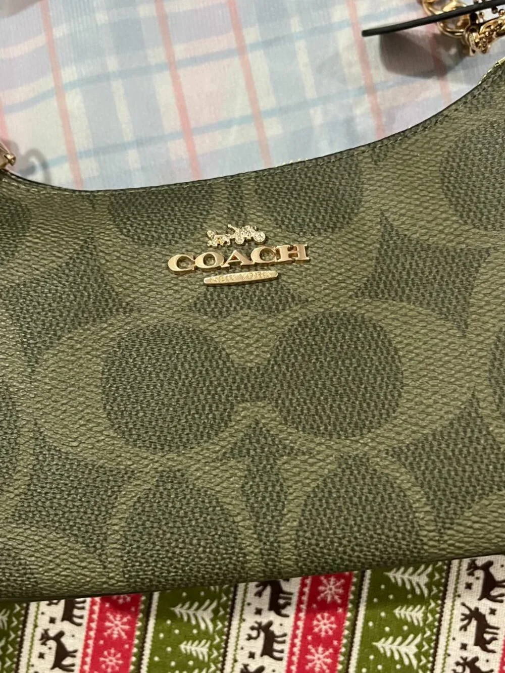 Coach Teri Shoulder Bag